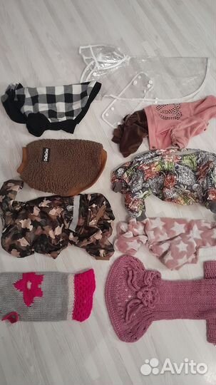 Одежда для собак