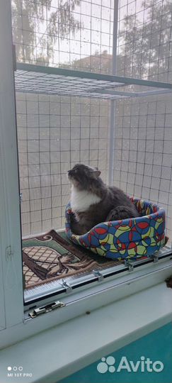 Балкончик для кошки