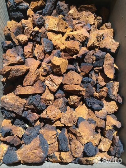 Чага для чая Лечебная целебная отвар