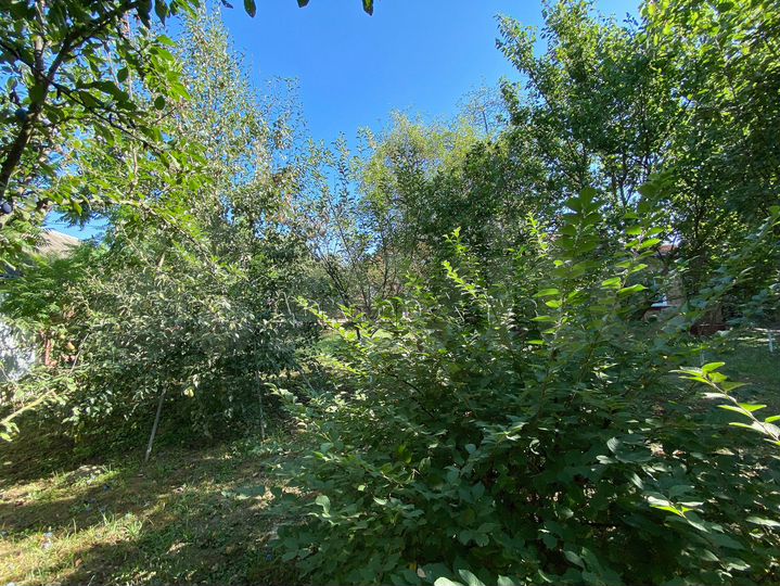 Дом 68 м² на участке 11 сот.