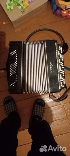 Электро баян