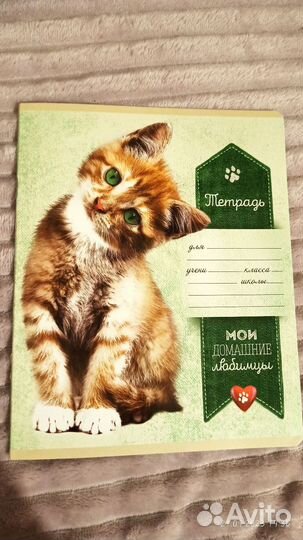 Школьная тетрадь в линейку 18 и 24 листа