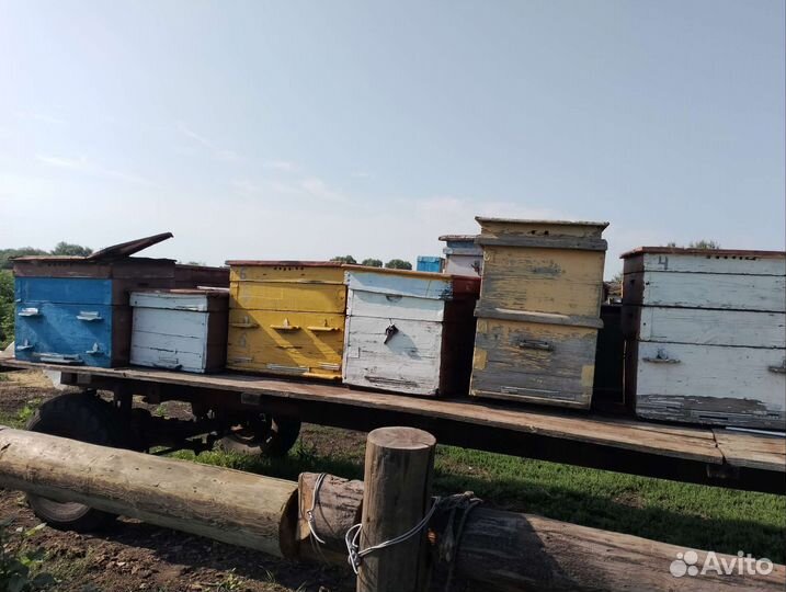 Улей для пчел бу