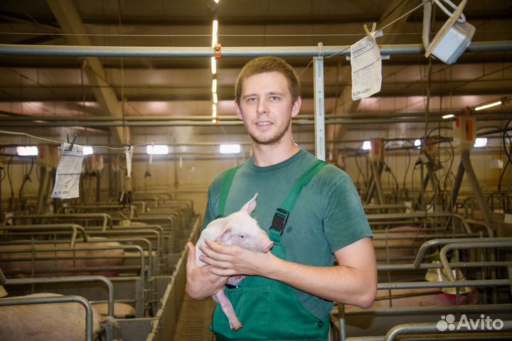 Рабочий по уходу за животными (Шаблыкино)