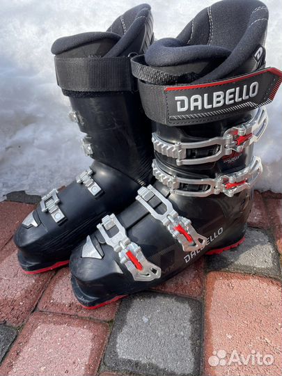 Горнолыжные ботинки dalbello