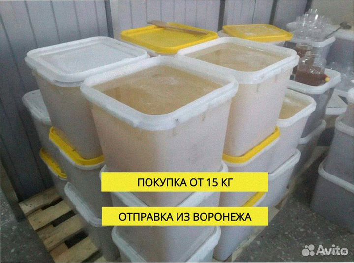 Мед оптом купить