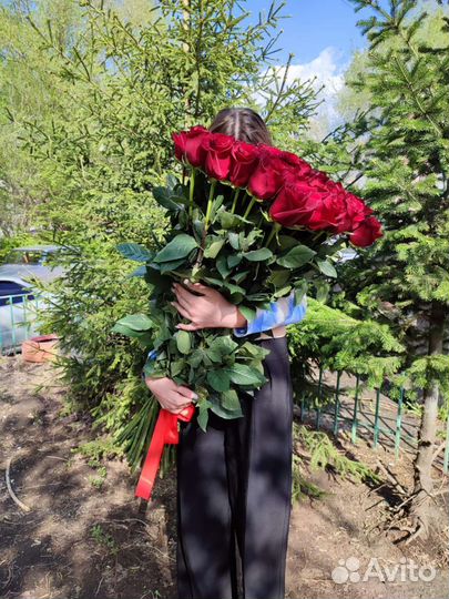 Высокие розы в Омске