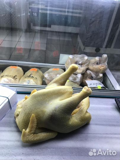 Домашние куры, утки