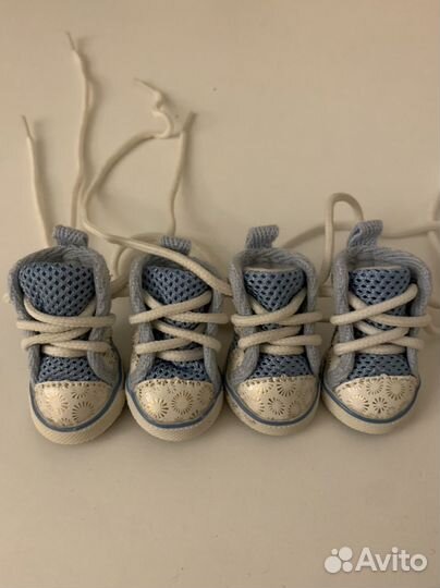 Обувь для собак мелких пород (кеды )