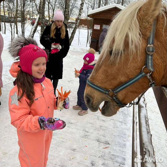 Зимний комбинезон molo