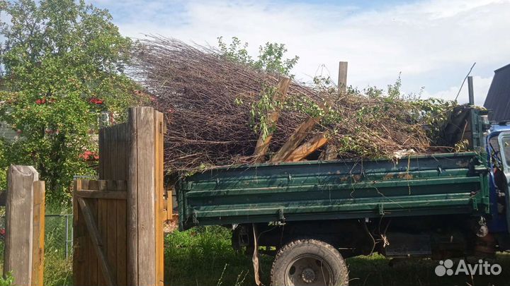 Вывоз мусора(контейнер 5 тонн)