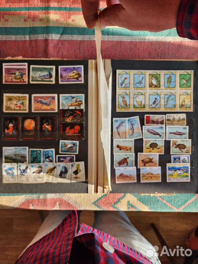 Почтовые марки мира