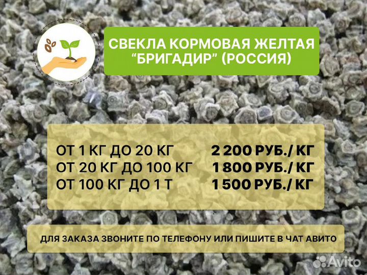 Семена свекла кормовая 2-ая репродукция