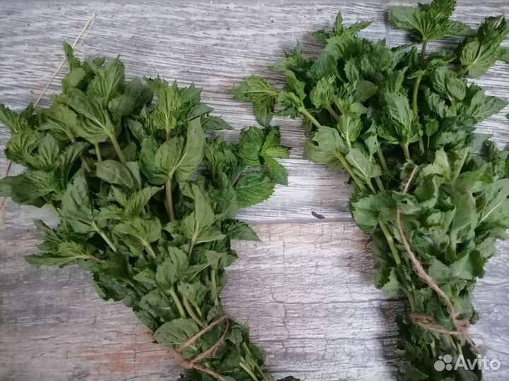 Букет для чая-6 трав;Мята,Мелисса,Зверобой - пучки