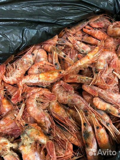 Креветка Ботан