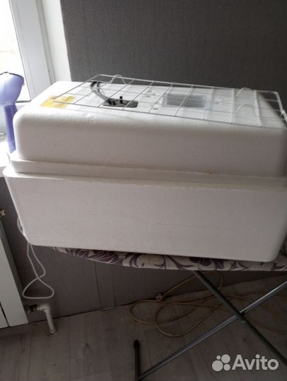 Инкубатор для яиц. Несушка на 77 яиц