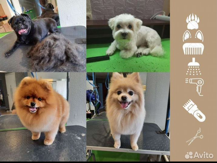 Стрижка собак и кошек, грумер, уралмаш