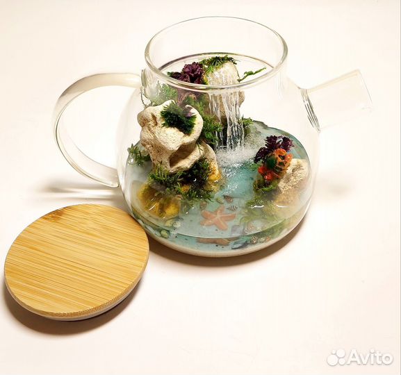 Флорариум(моссариум) из мхов Чайничек как подарок