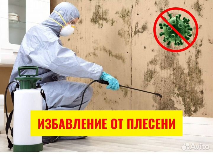 Уничтожение клопов, Травля тараканов, Дезинфекция