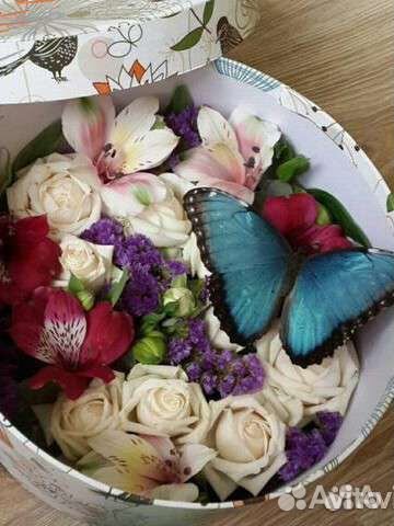 Бабочки к торжественному дню