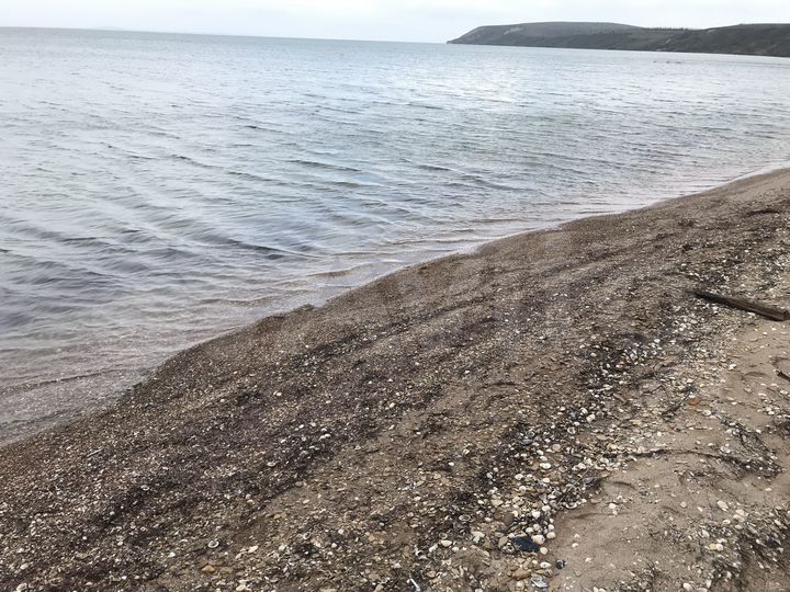 Участок 12 сот. (ИЖС)