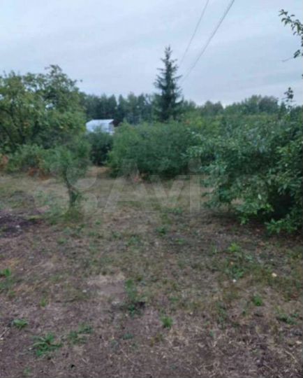 Участок 10 сот. (СНТ, ДНП)