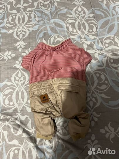 Комбинезон для собаки