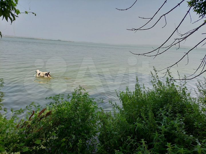 Участок 18,5 сот. (ИЖС)