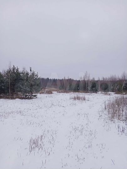 Участок 3,5 га (СНТ, ДНП)