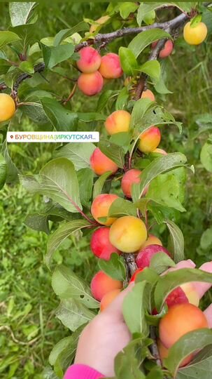 Дача 70 м² на участке 6 сот.