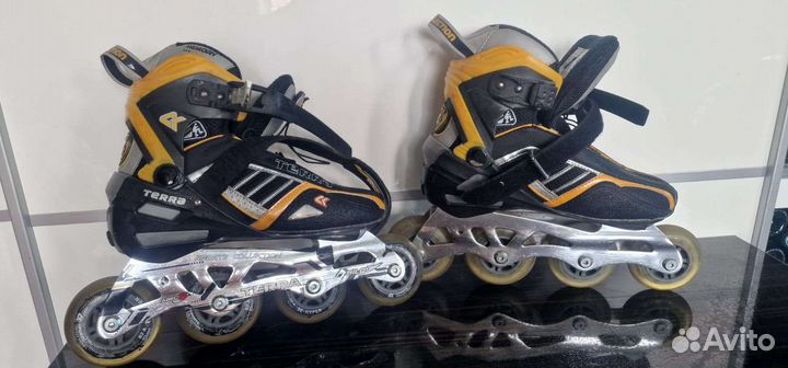 Роликовые коньки Terra