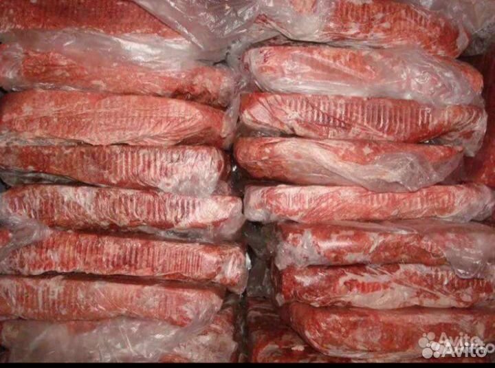 Товары для животных