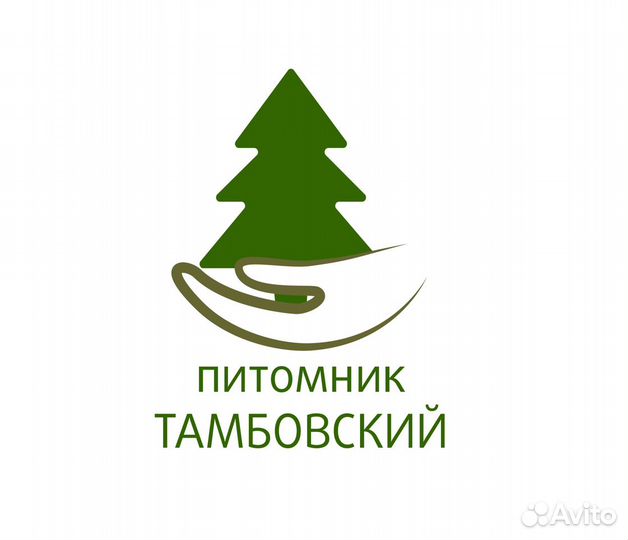 Сотрудник в питомник растений