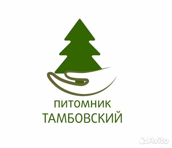 Сотрудник в питомник растений