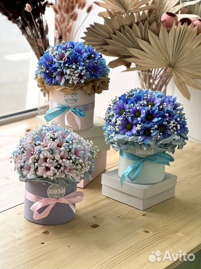 Яркая хризантема синяя в шляпной коробке