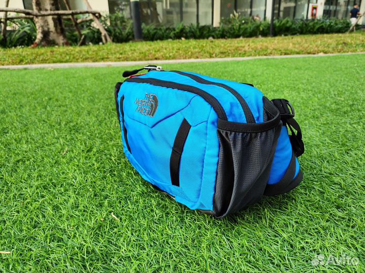 Сумка поясная The North Face Tioga Lumbar Bomber