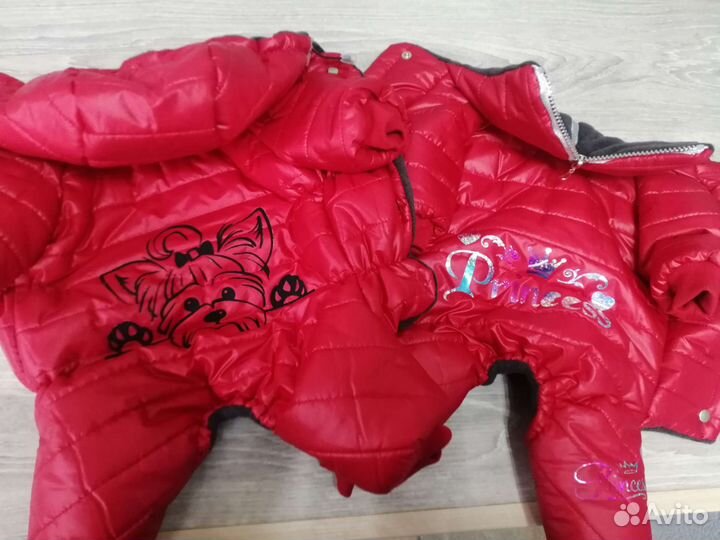 Одежда для собак