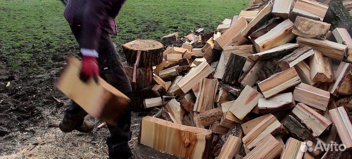 Дрова самовывоз