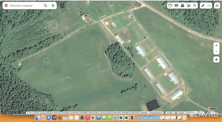 Готовый бизнес по выращиванию овец