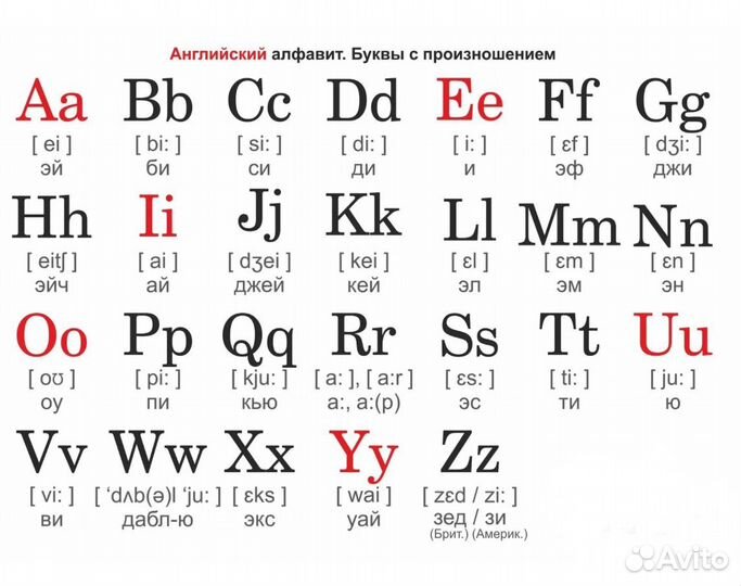 Зооботы