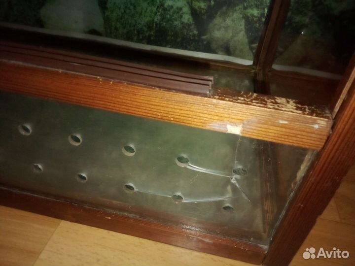 Террариум для сухопутной черепахи