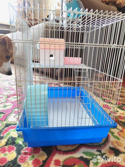 Клетка для грызунов