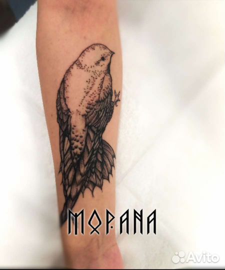 Ищу модель на тату за расходники Москва