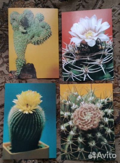 Набор советских открыток 