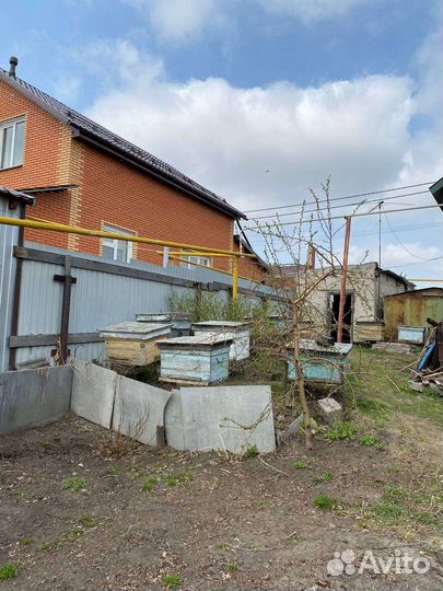 Ульи с семьями