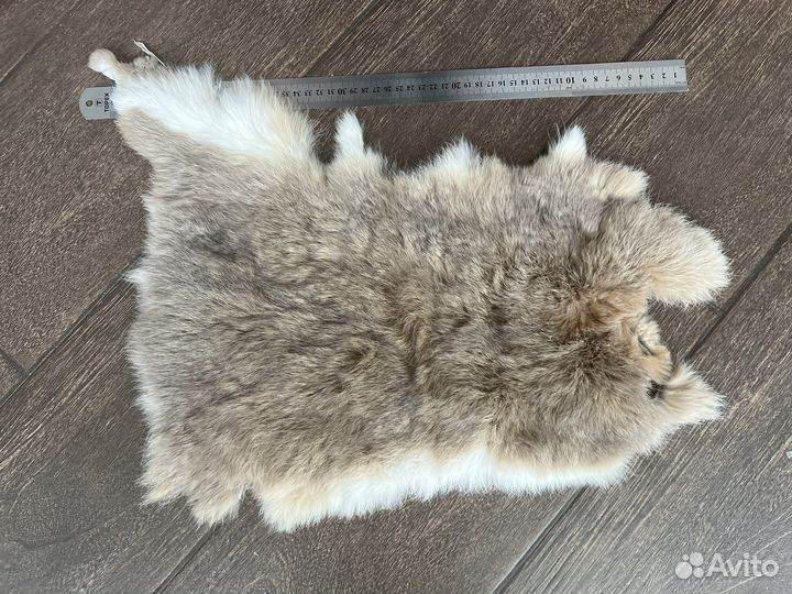 Шкура животного