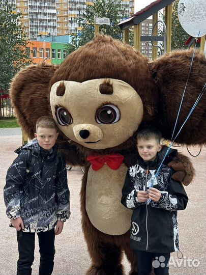 Живой Чебурашка