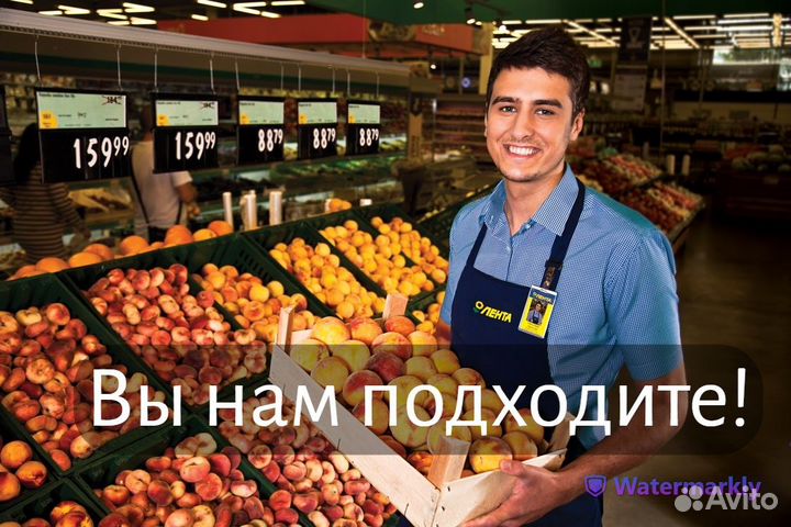 Продавец на выкладку с ежедневной оплатой
