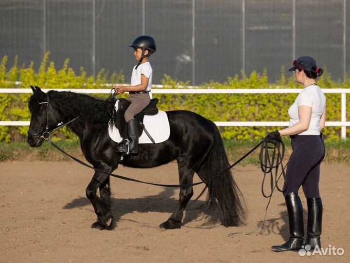 Уроки верховой езды для детей