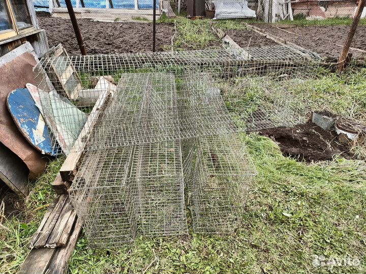 Клетки для домашних птиц